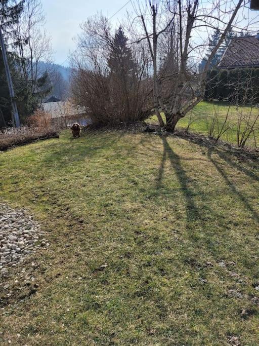 Appartement Le Flocon, Joli Petit Cocon 4 Pers En Rez De Jardin Draps Inclus 莱鲁斯 外观 照片